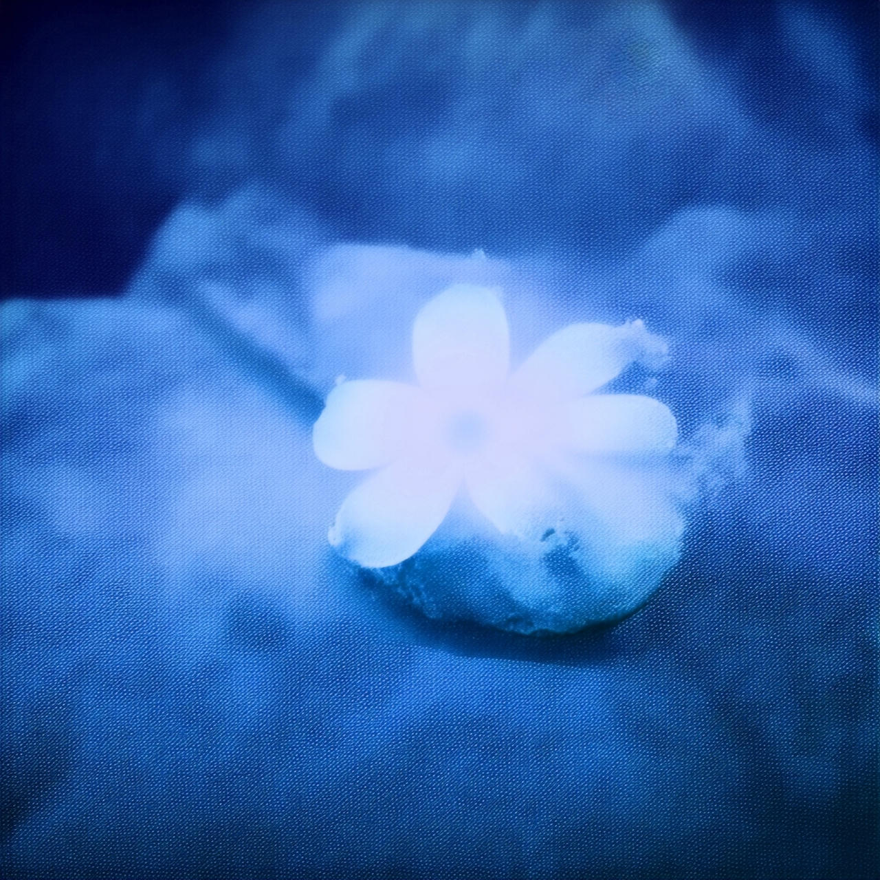 Rettward von Doernberg - gone - The Remixes