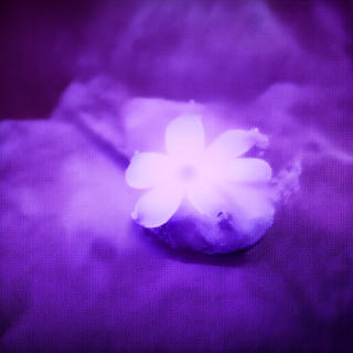 Rettward von Doernberg - gone